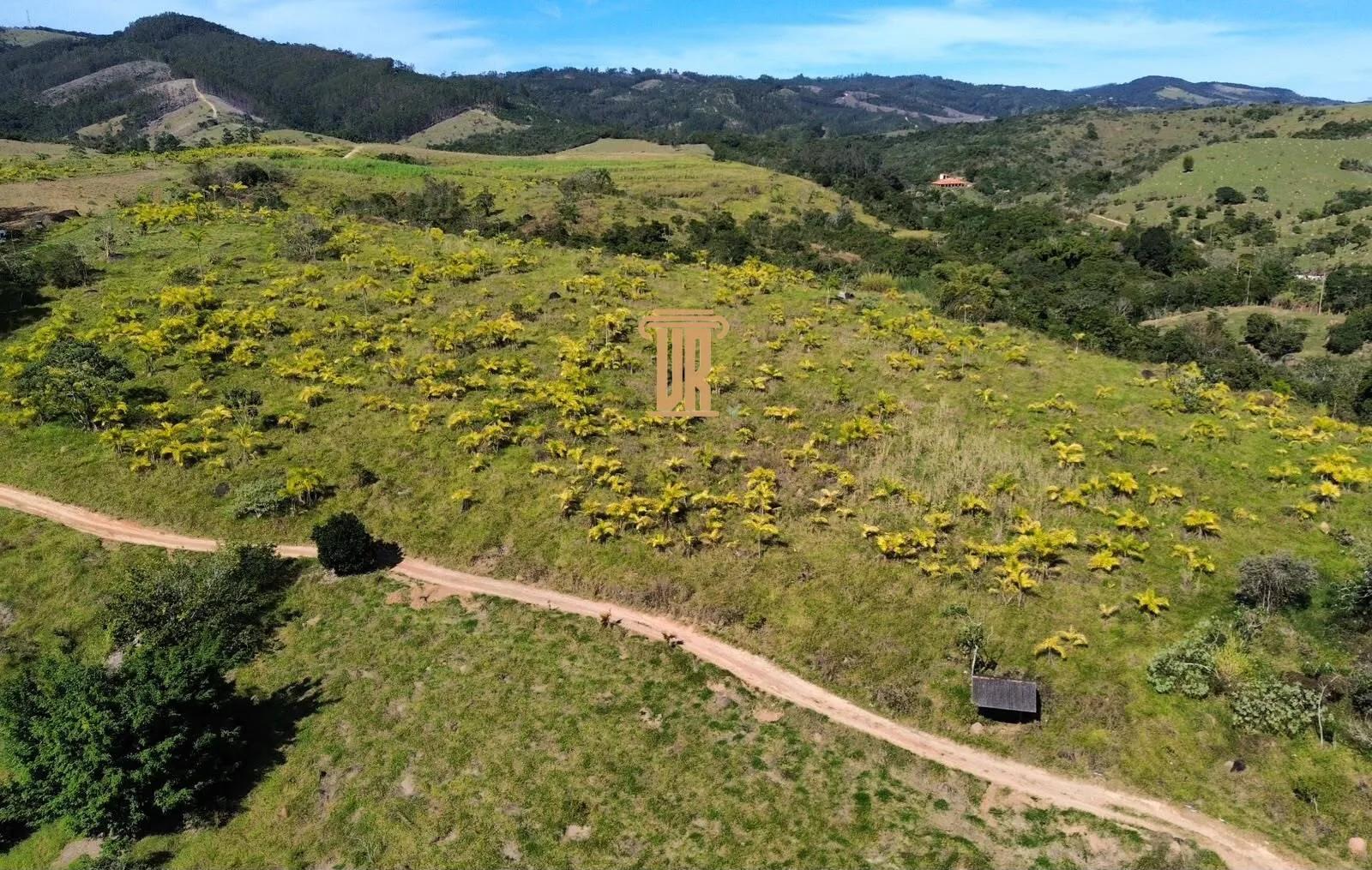 FAZENDA DE 51 ALQUEIRES EM CA&Ccedil;APAVA  Caçapava - 