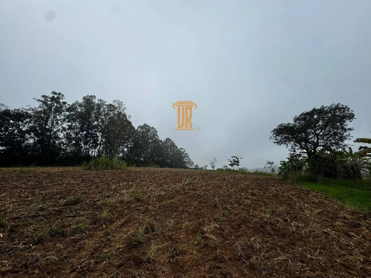 FAZENDA DE 51 ALQUEIRES EM CA&Ccedil;APAVA  Caçapava - 