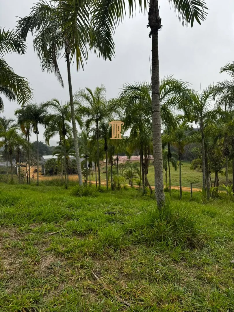 FAZENDA DE 51 ALQUEIRES EM CA&Ccedil;APAVA  Caçapava - 