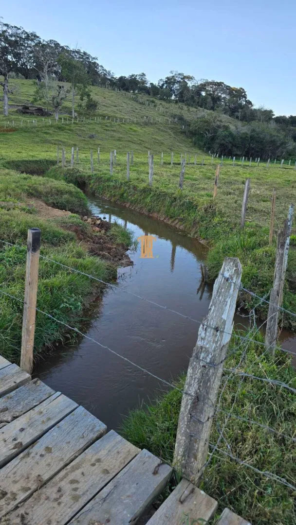 S&iacute;tio de 7,2 Alqueires - Parais&oacute;polis/MG  Paraisópolis - 