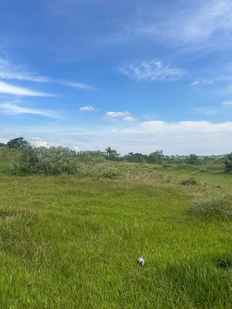 Excelente Sítio em Guaratinguetá-SP