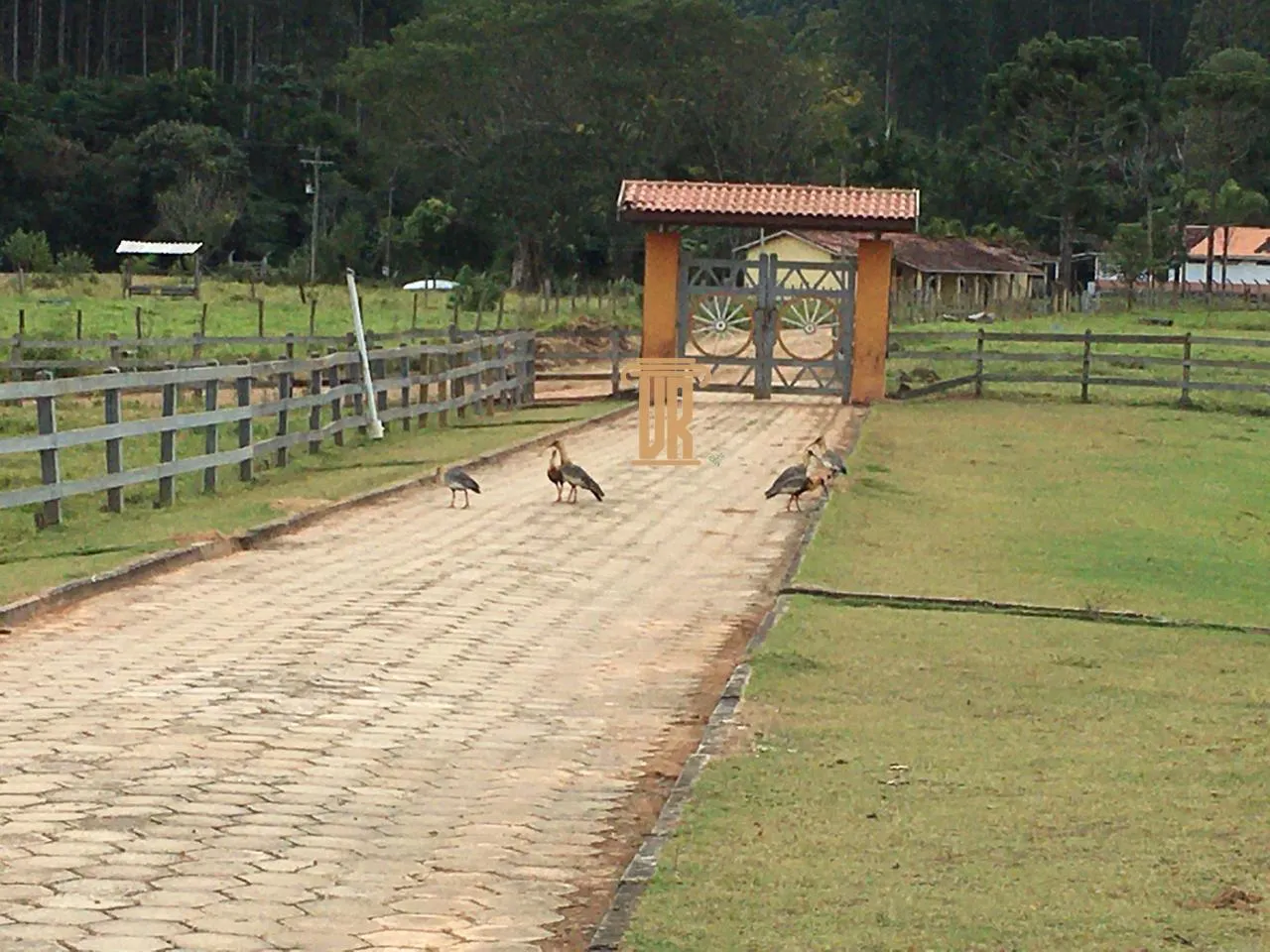 FAZENDA DE 43 ALQUEIRES EM LAGOINHA - SP  Lagoinha - 