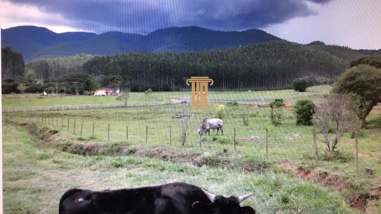 FAZENDA DE 43 ALQUEIRES EM LAGOINHA - SP  Lagoinha - 