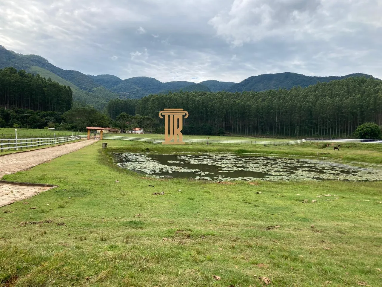 FAZENDA DE 43 ALQUEIRES EM LAGOINHA - SP  Lagoinha - 