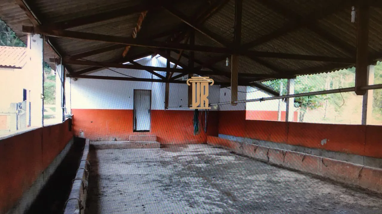 FAZENDA DE 43 ALQUEIRES EM LAGOINHA - SP  Lagoinha - 