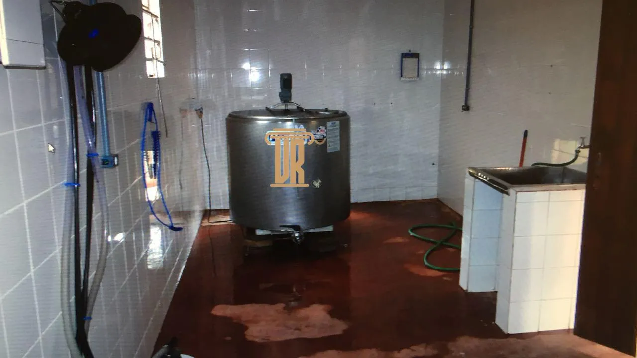 FAZENDA DE 43 ALQUEIRES EM LAGOINHA - SP  Lagoinha - 