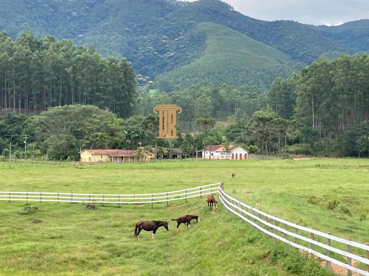FAZENDA DE 43 ALQUEIRES EM LAGOINHA - SP  Lagoinha - 