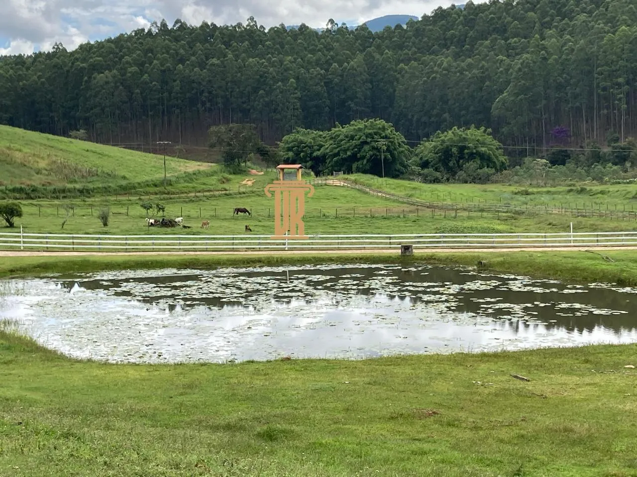 FAZENDA DE 43 ALQUEIRES EM LAGOINHA - SP  Lagoinha - 