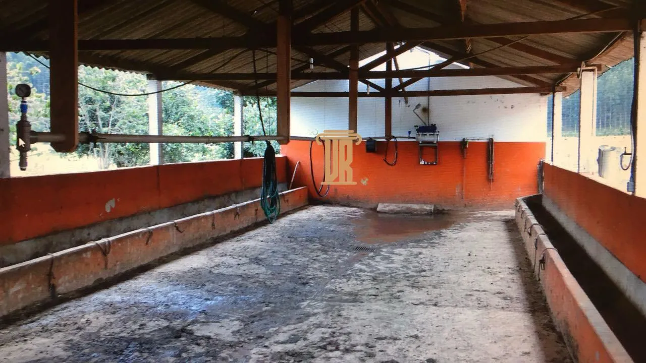 FAZENDA DE 43 ALQUEIRES EM LAGOINHA - SP  Lagoinha - 