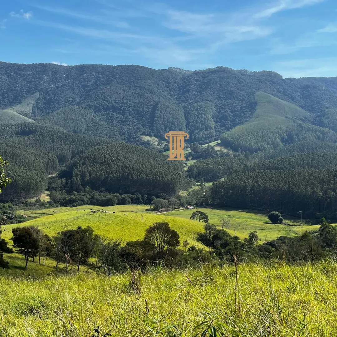 FAZENDA DE 43 ALQUEIRES EM LAGOINHA - SP  Lagoinha - 