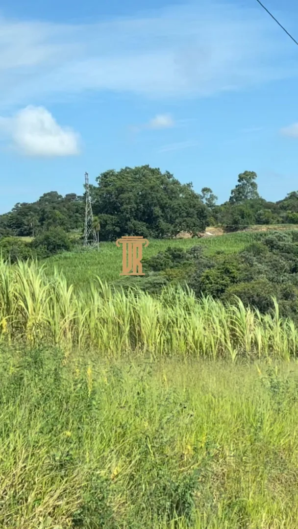 &Aacute;REA 2 ALQUEIRES &Aacute; VENDA EM PORTO FELIZ-SP  Porto Feliz - 