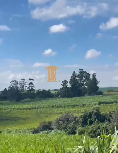 &Aacute;REA 2 ALQUEIRES &Aacute; VENDA EM PORTO FELIZ-SP  Porto Feliz - 