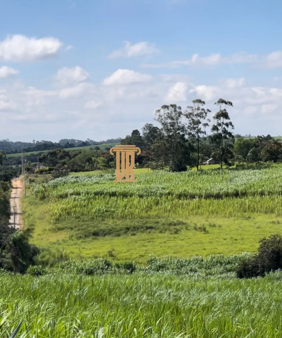 &Aacute;REA 2 ALQUEIRES &Aacute; VENDA EM PORTO FELIZ-SP  Porto Feliz - 