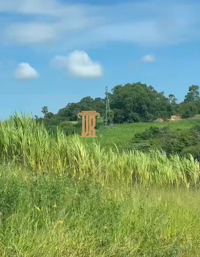 &Aacute;REA 2 ALQUEIRES &Aacute; VENDA EM PORTO FELIZ-SP  Porto Feliz - 