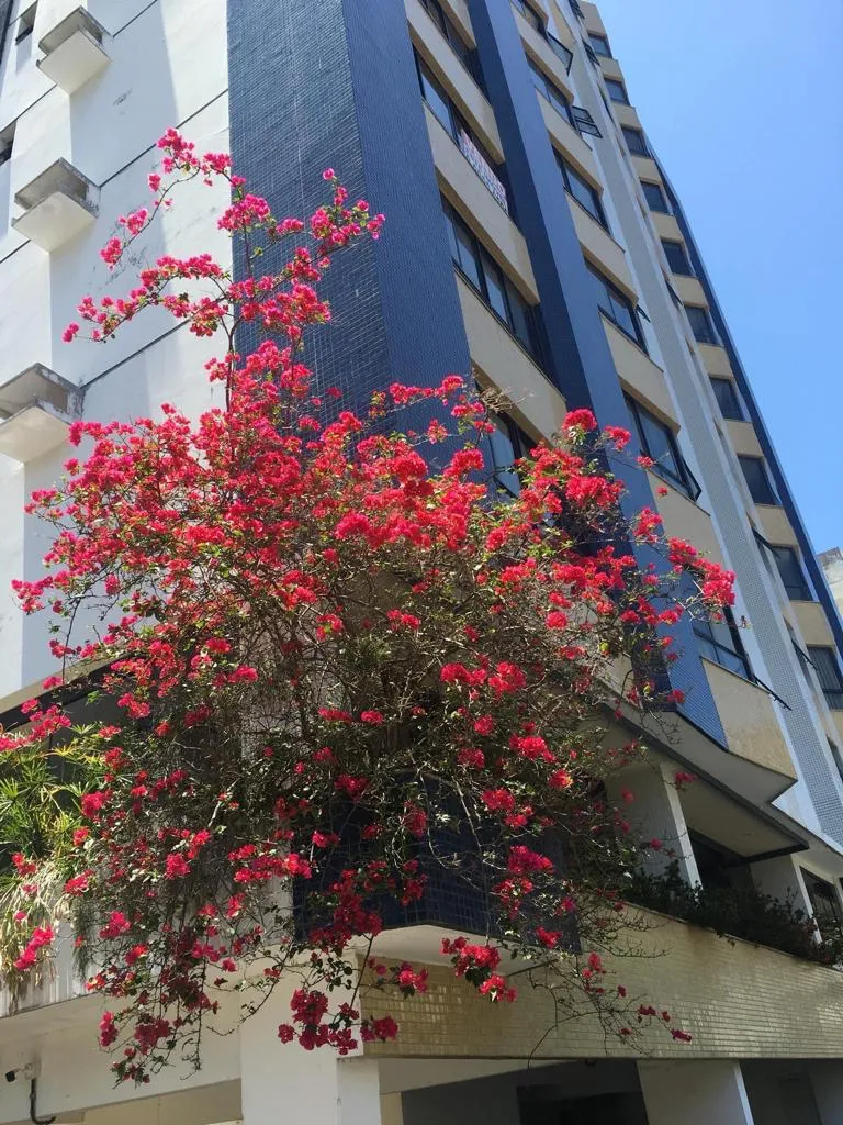 APARTAMENTO 2 QUARTOS SU&Iacute;TE DEPEND&Ecirc;NCIA ARM&Aacute;RIOS ELEVADOR GARAGEM &Agrave; VENDA CANELA! Rua Cláudio Manoel da Costa Salvador - 