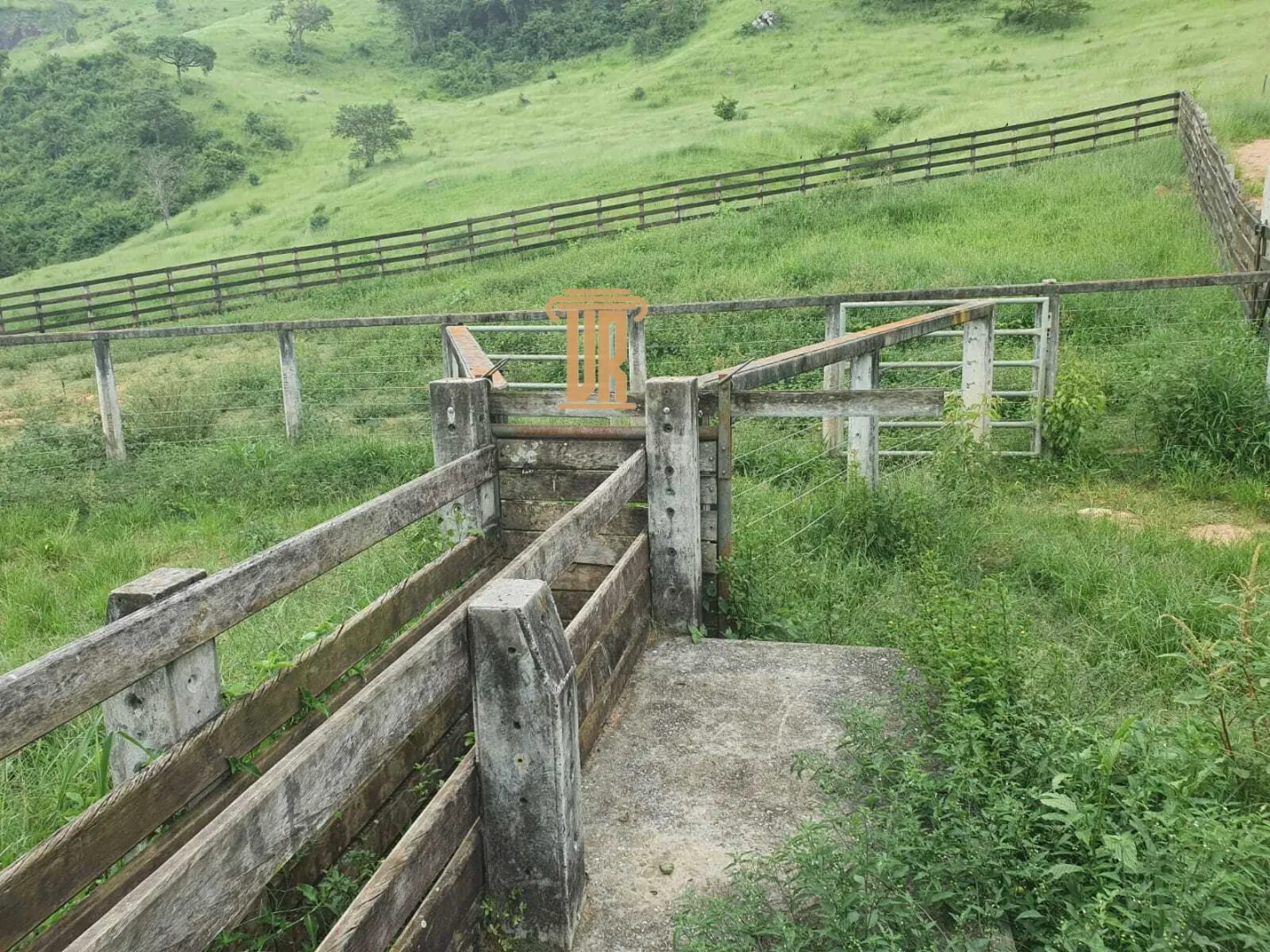 FAZENDA COM 208 HECTARES EM SOLIDADE DE MINAS &ndash; MG  Soledade de Minas - 