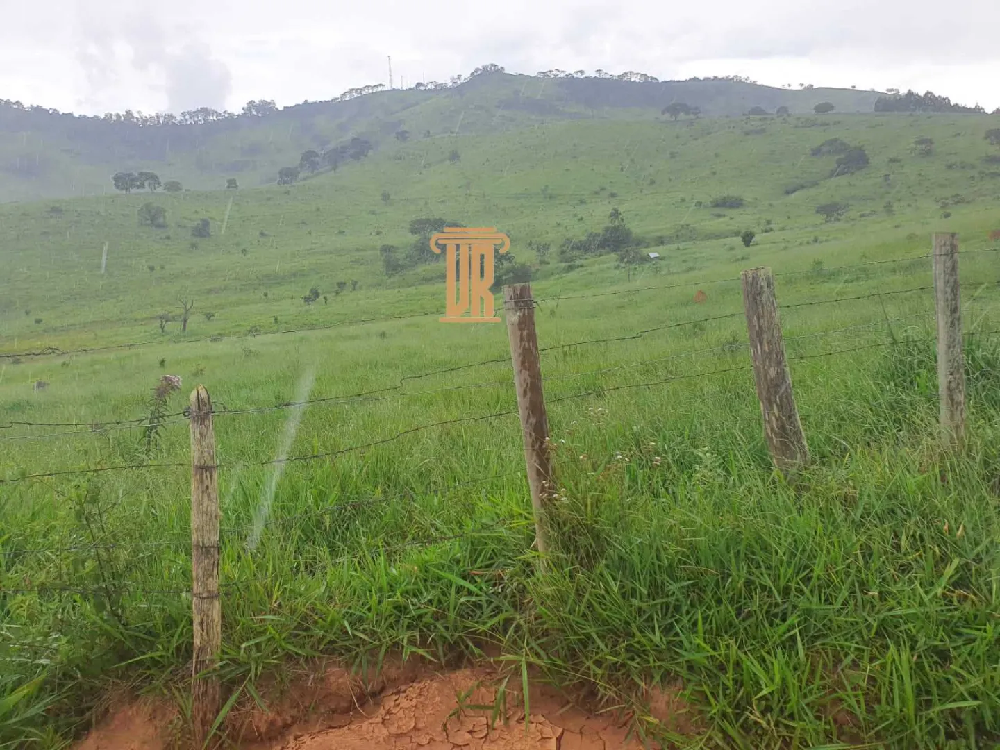 FAZENDA COM 208 HECTARES EM SOLIDADE DE MINAS &ndash; MG  Soledade de Minas - 