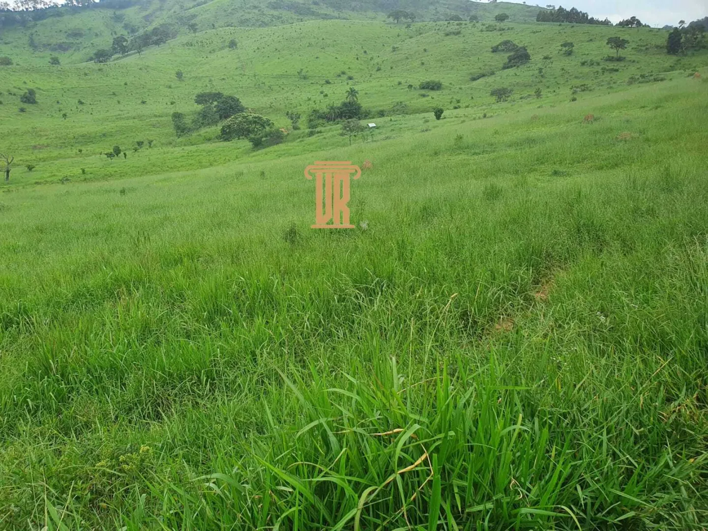 FAZENDA COM 208 HECTARES EM SOLIDADE DE MINAS &ndash; MG  Soledade de Minas - 