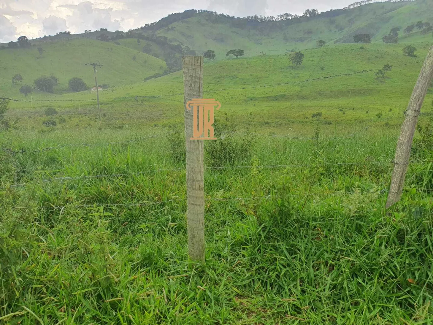 FAZENDA COM 208 HECTARES EM SOLIDADE DE MINAS &ndash; MG  Soledade de Minas - 
