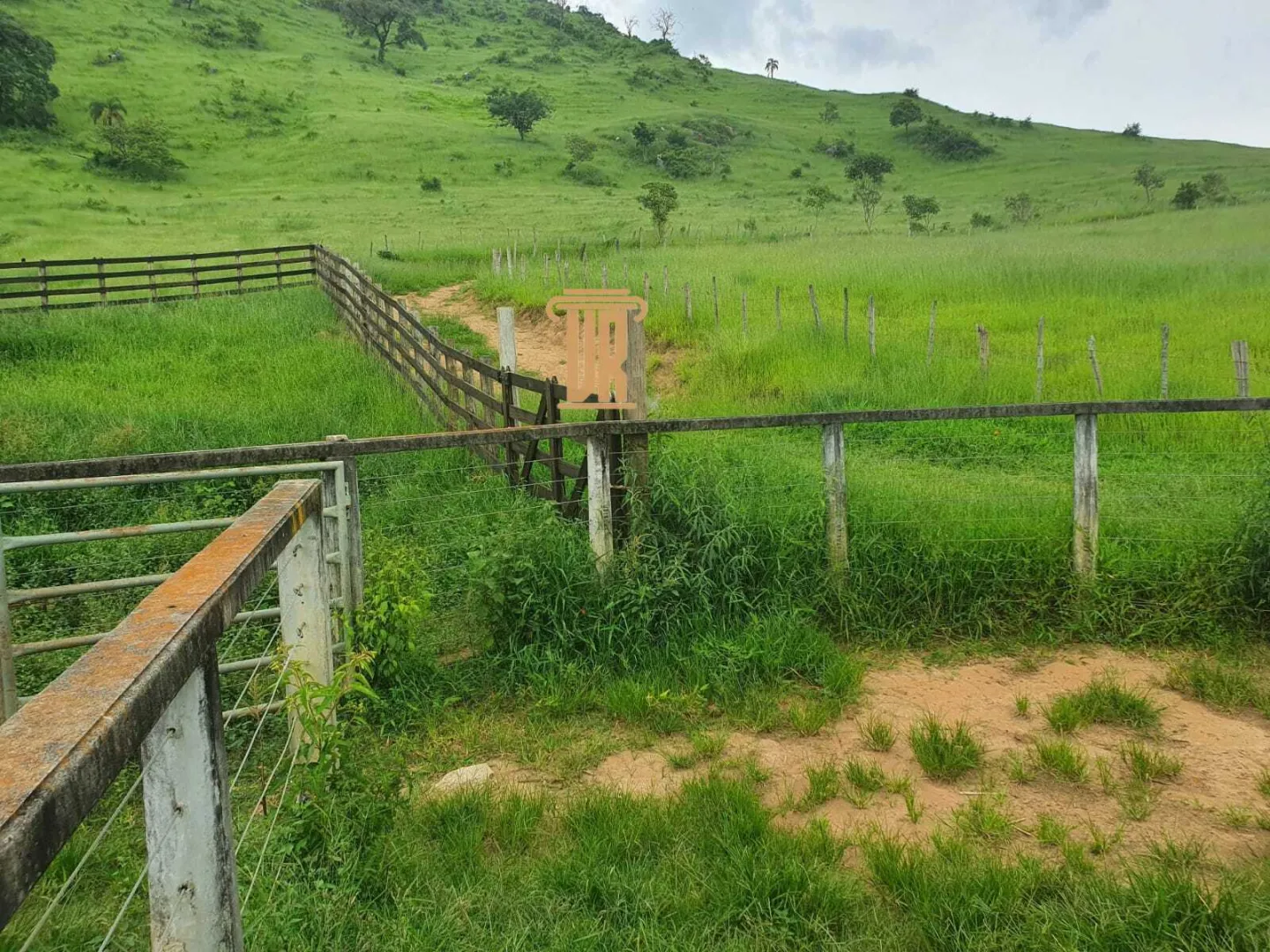 FAZENDA COM 208 HECTARES EM SOLIDADE DE MINAS &ndash; MG  Soledade de Minas - 