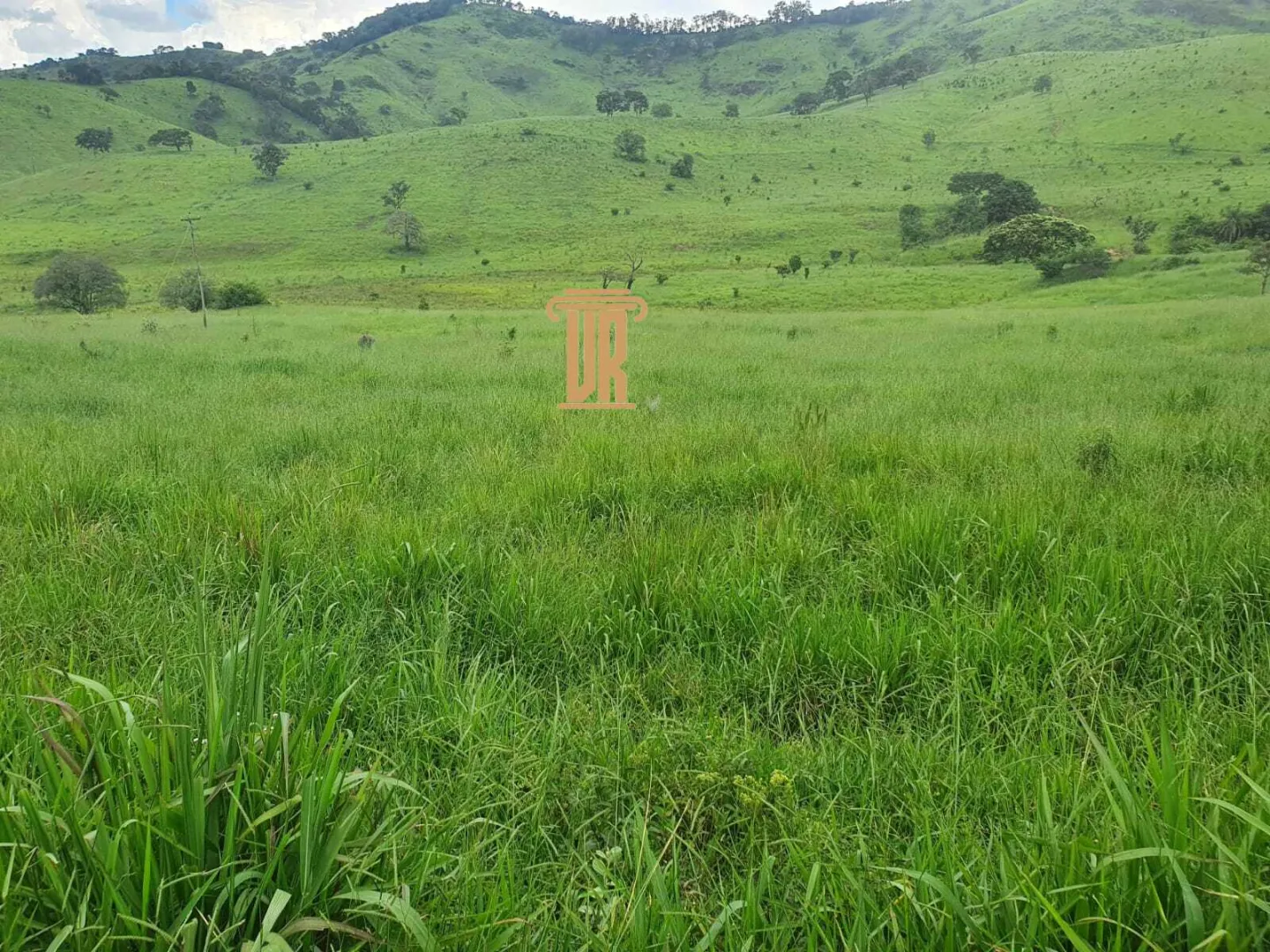 FAZENDA COM 208 HECTARES EM SOLIDADE DE MINAS &ndash; MG  Soledade de Minas - 
