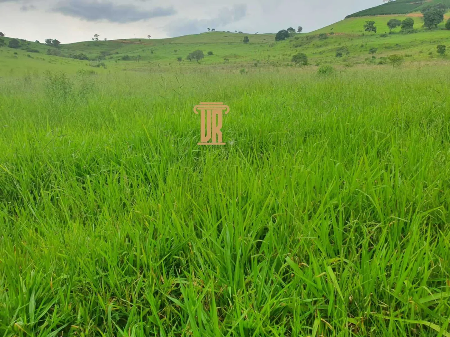 FAZENDA COM 208 HECTARES EM SOLIDADE DE MINAS &ndash; MG  Soledade de Minas - 