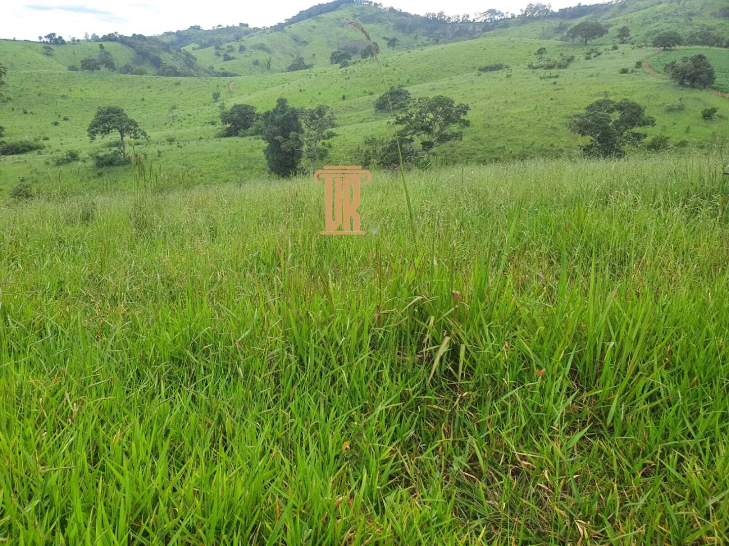 FAZENDA COM 208 HECTARES EM SOLIDADE DE MINAS &ndash; MG  Soledade de Minas - 