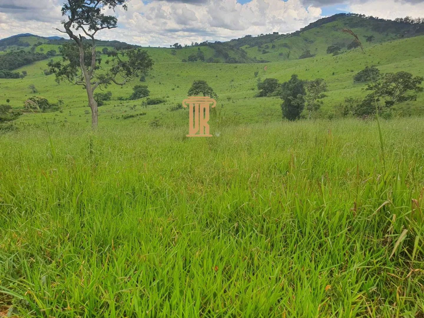 FAZENDA COM 208 HECTARES EM SOLIDADE DE MINAS &ndash; MG  Soledade de Minas - 