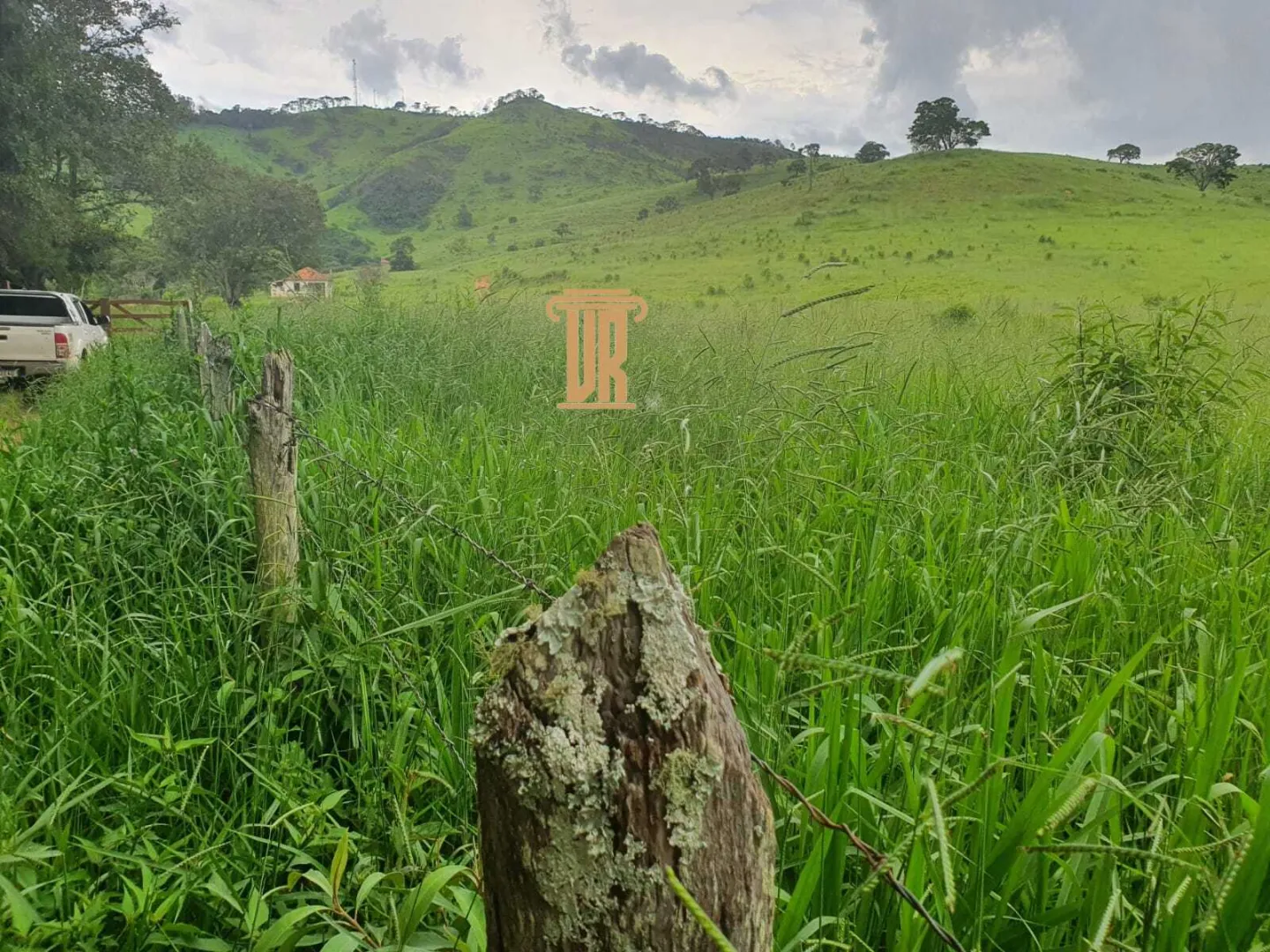 FAZENDA COM 208 HECTARES EM SOLIDADE DE MINAS &ndash; MG  Soledade de Minas - 