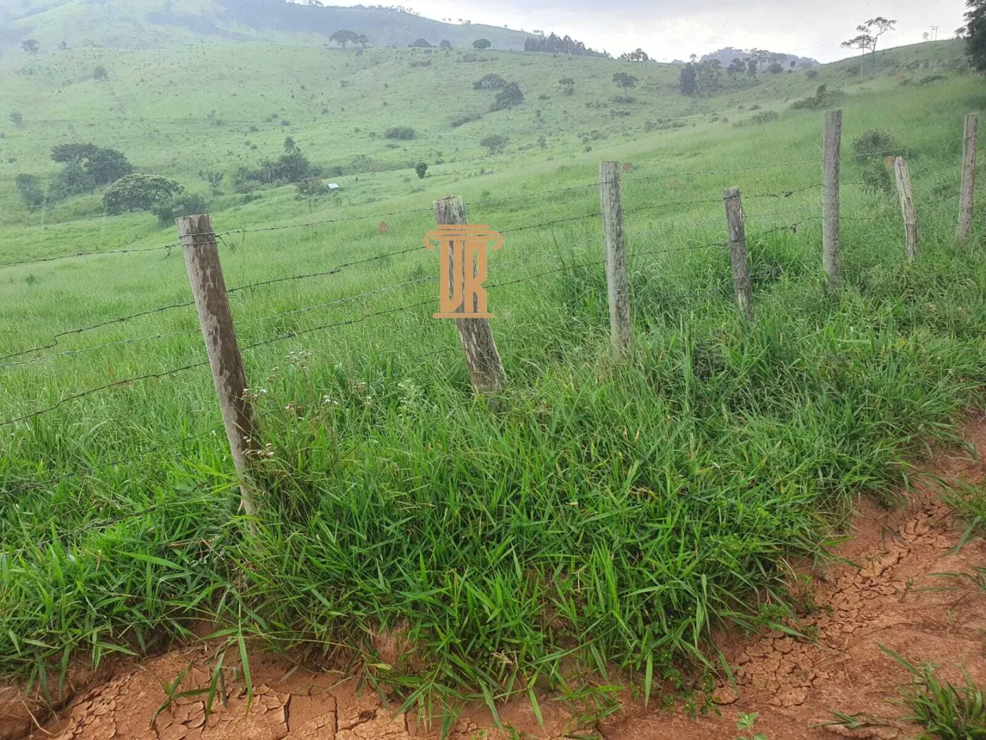 FAZENDA COM 208 HECTARES EM SOLIDADE DE MINAS &ndash; MG  Soledade de Minas - 