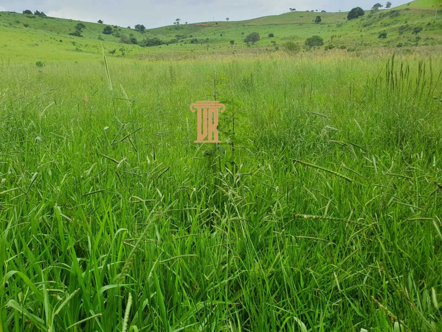 FAZENDA COM 208 HECTARES EM SOLIDADE DE MINAS &ndash; MG  Soledade de Minas - 