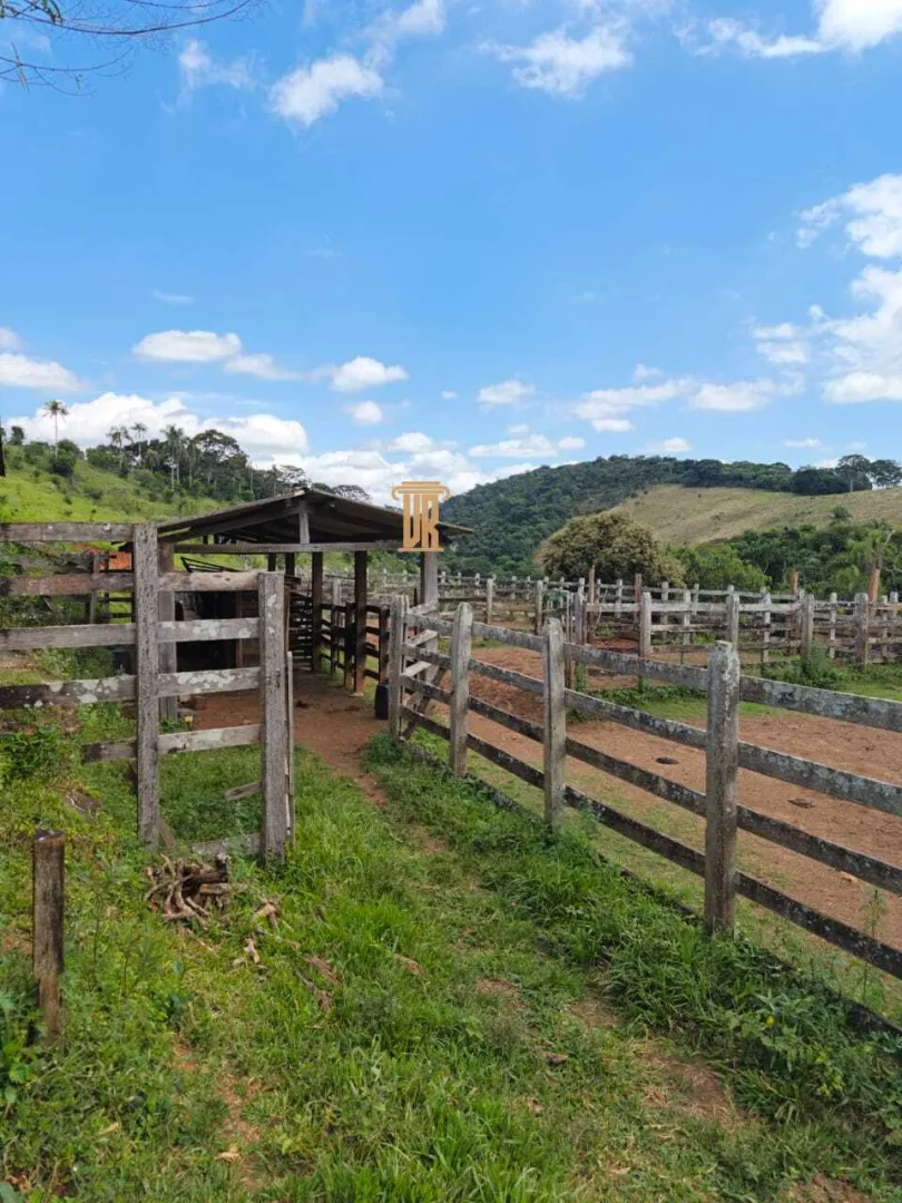 FAZENDA COM 84 ALQUEIRES EM POUSO ALTO &ndash; MG  Pouso Alto - 
