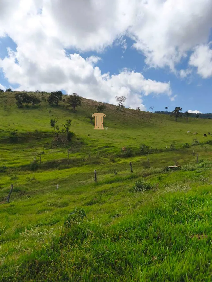 FAZENDA COM 84 ALQUEIRES EM POUSO ALTO &ndash; MG  Pouso Alto - 