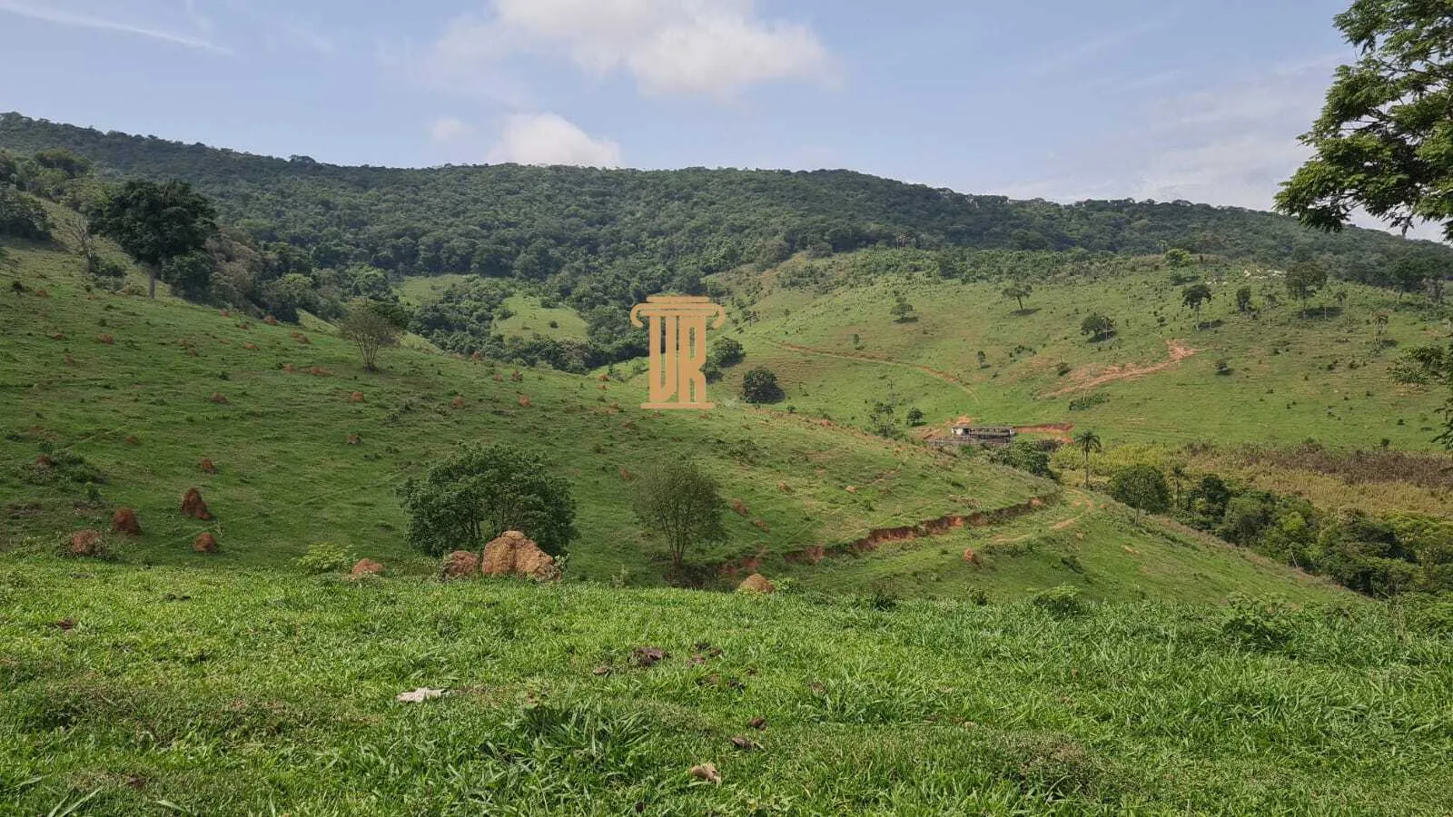 FAZENDA COM 84 ALQUEIRES EM POUSO ALTO &ndash; MG  Pouso Alto - 