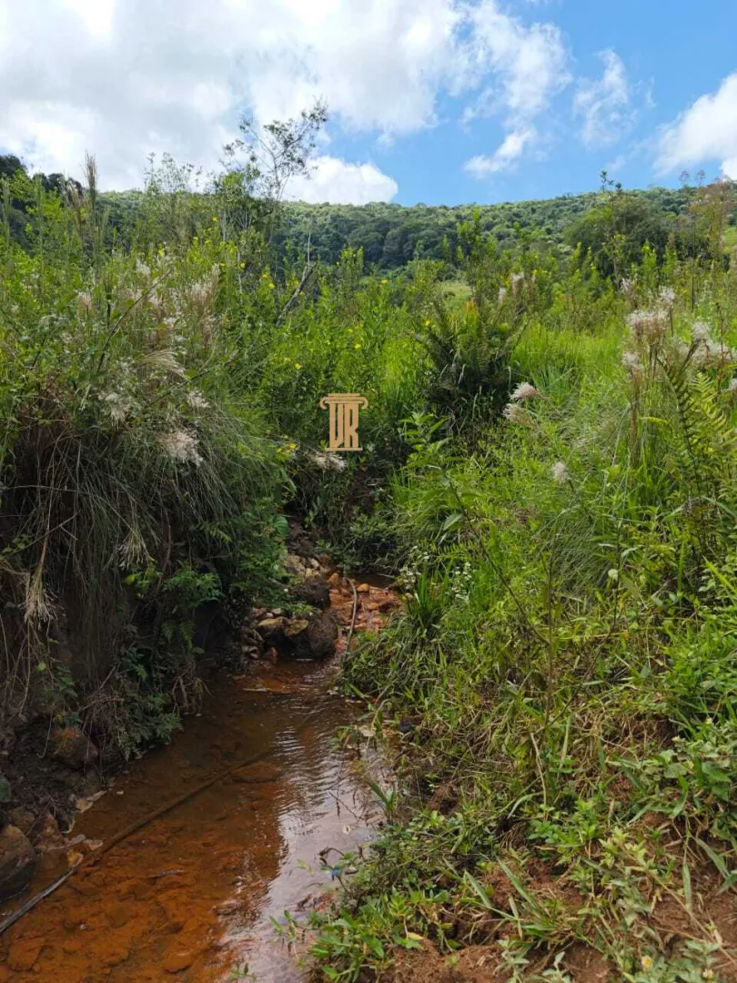 FAZENDA COM 84 ALQUEIRES EM POUSO ALTO &ndash; MG  Pouso Alto - 