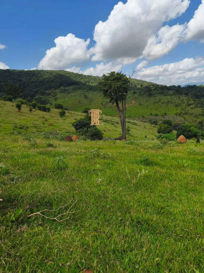 FAZENDA COM 84 ALQUEIRES EM POUSO ALTO &ndash; MG  Pouso Alto - 
