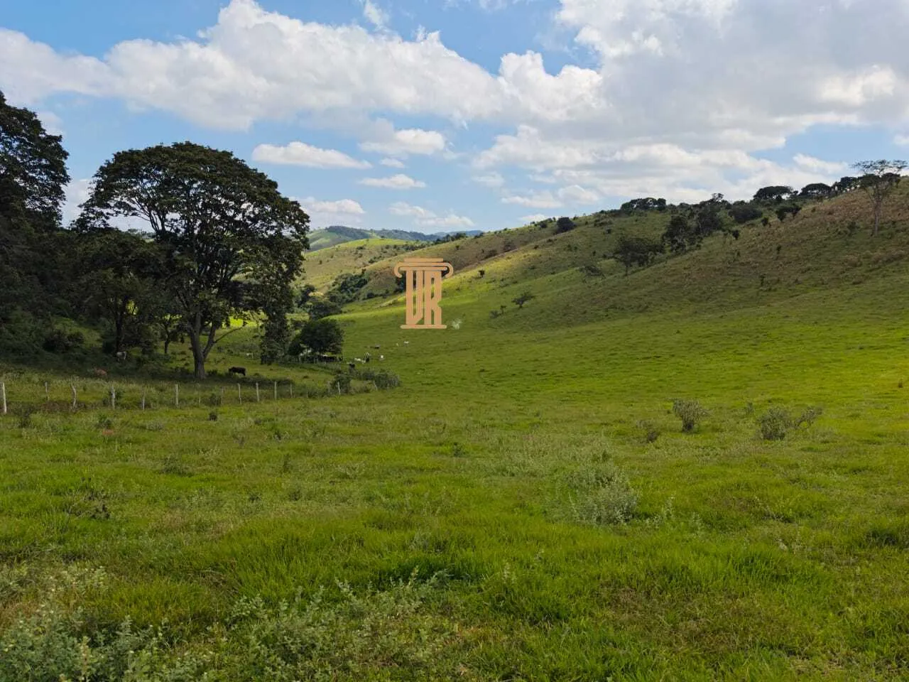 FAZENDA COM 84 ALQUEIRES EM POUSO ALTO &ndash; MG  Pouso Alto - 