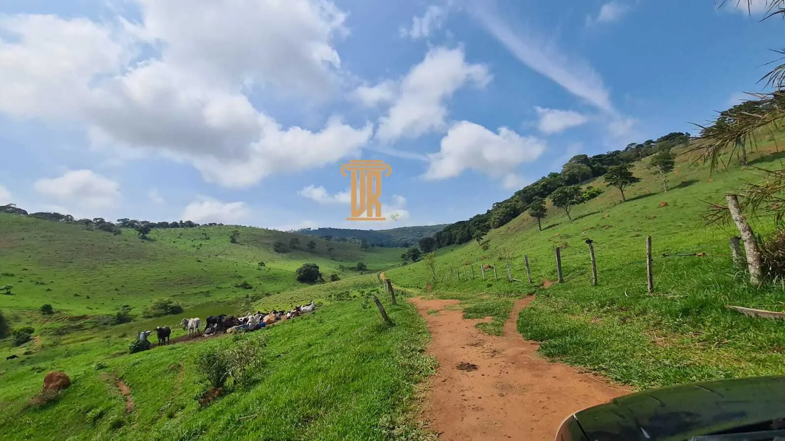 FAZENDA COM 84 ALQUEIRES EM POUSO ALTO &ndash; MG  Pouso Alto - 