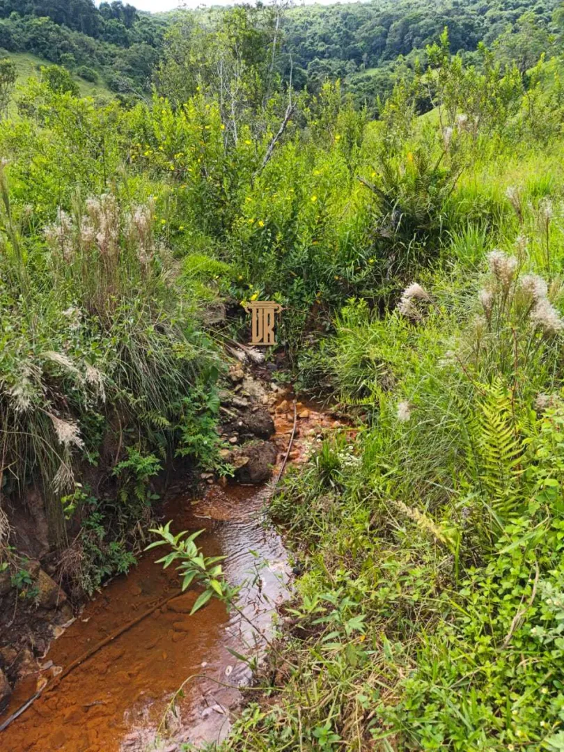 FAZENDA COM 84 ALQUEIRES EM POUSO ALTO &ndash; MG  Pouso Alto - 