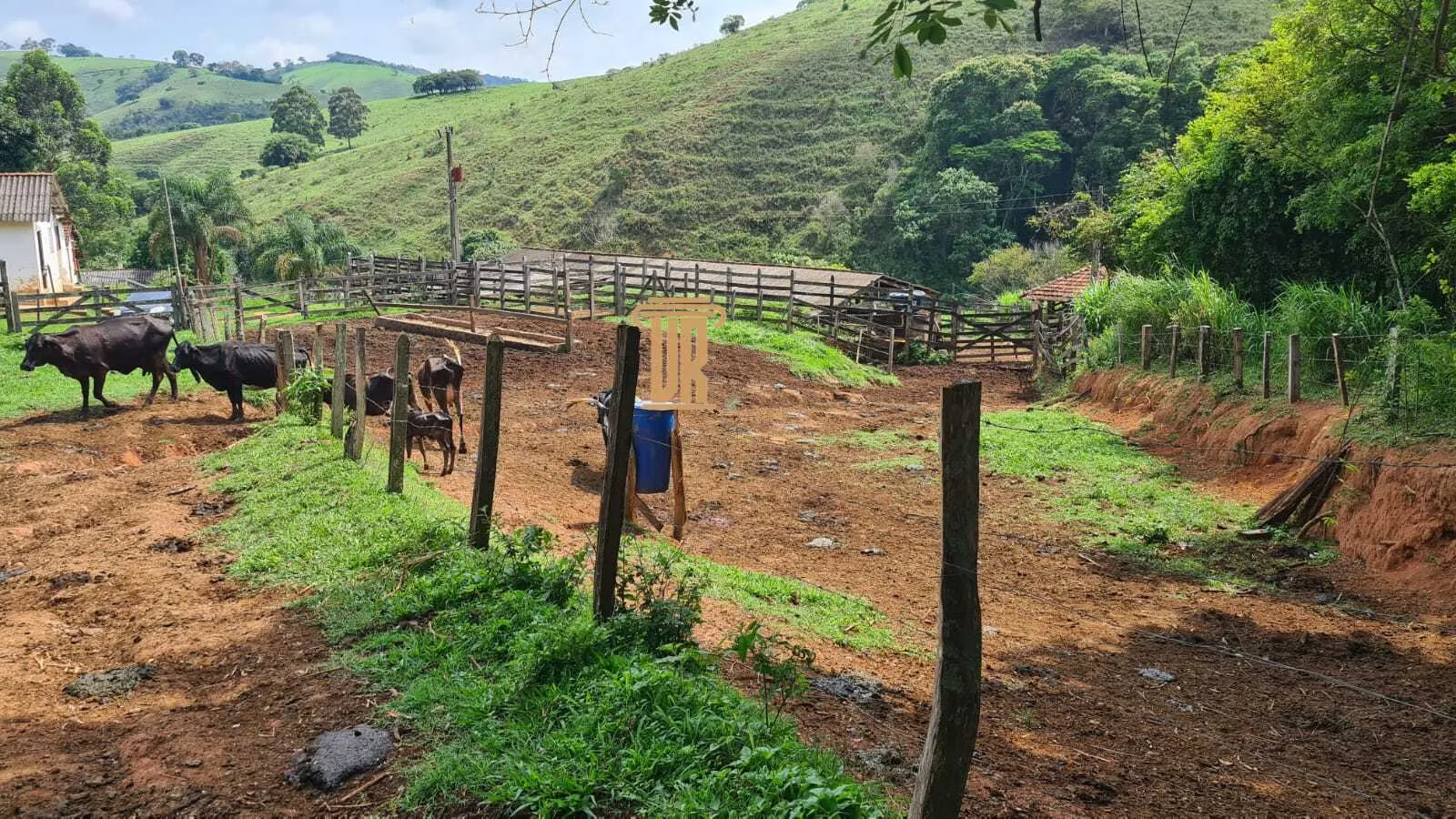 FAZENDA COM 84 ALQUEIRES EM POUSO ALTO &ndash; MG  Pouso Alto - 
