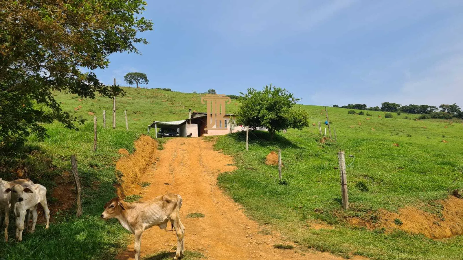 FAZENDA COM 84 ALQUEIRES EM POUSO ALTO &ndash; MG  Pouso Alto - 