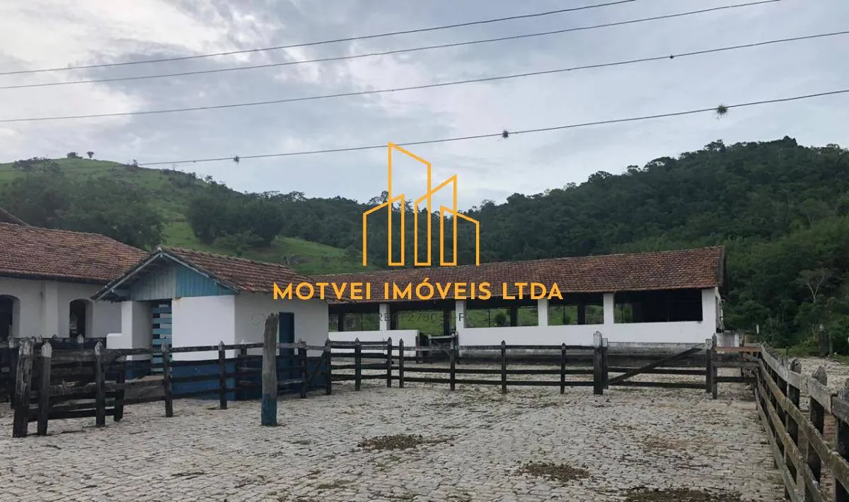 Fazenda Boiadeira à Venda – Vale do Paraíba/SP — foto 3
