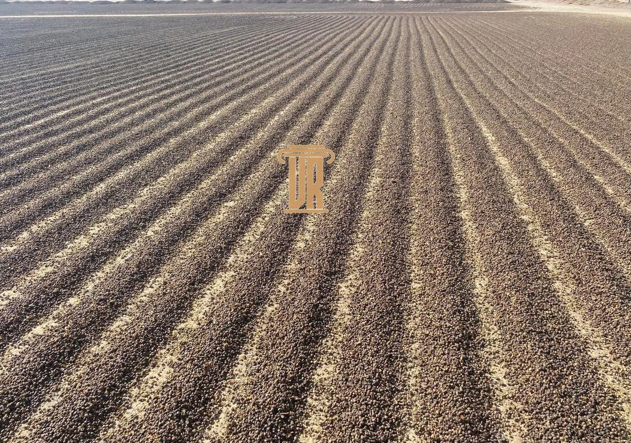FAZENDA DE 5.000 HECTARES EM UNA&Iacute; - MG  Unaí - 