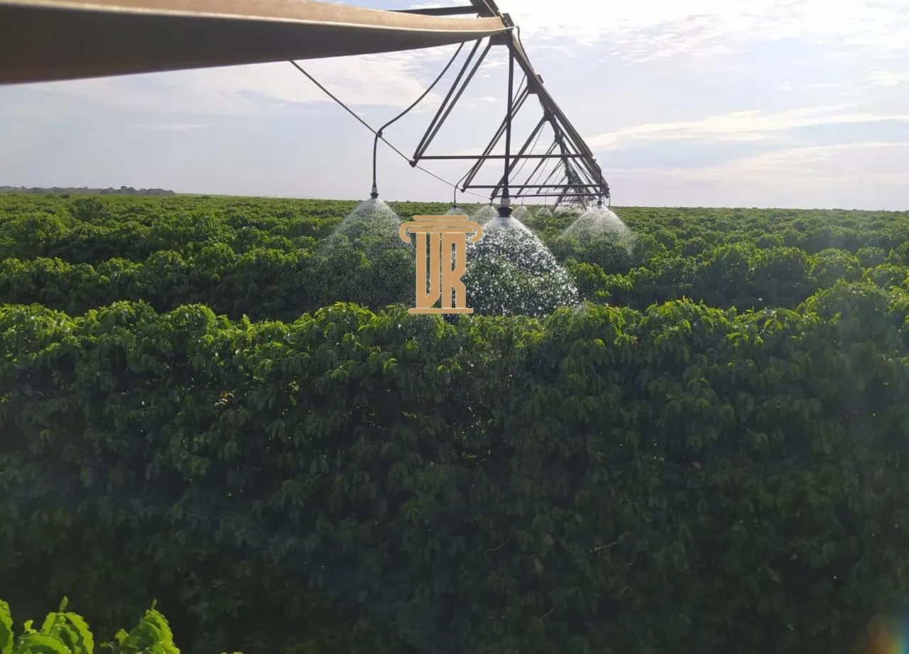 FAZENDA DE 5.000 HECTARES EM UNA&Iacute; - MG  Unaí - 