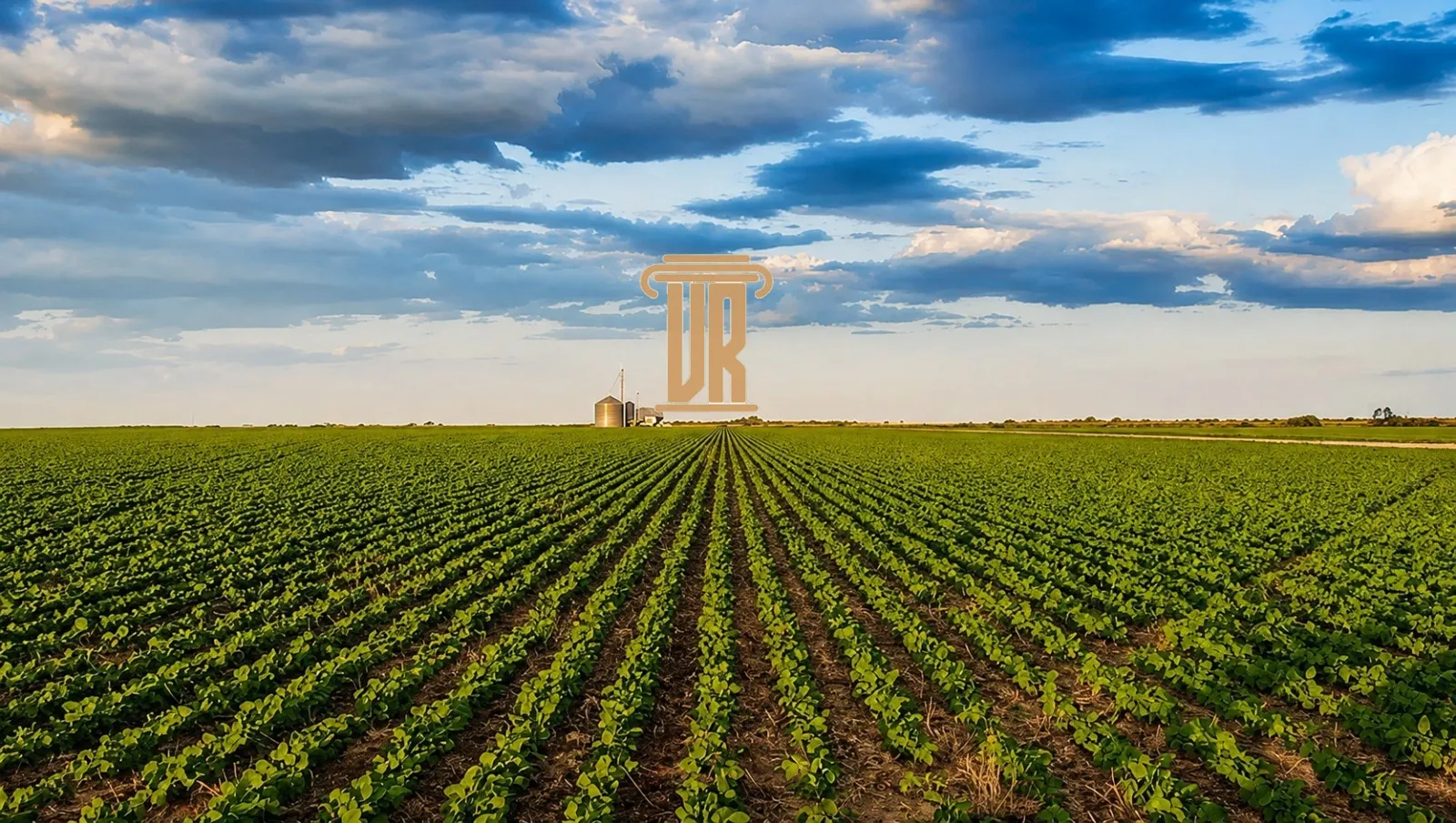 FAZENDA DE 5.000 HECTARES EM UNA&Iacute; - MG  Unaí - 