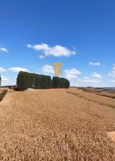 FAZENDA EM ITUTINGA - MG  Itutinga - 