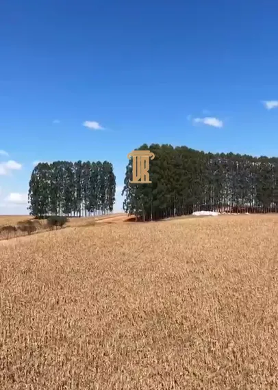 FAZENDA EM ITUTINGA - MG  Itutinga - 
