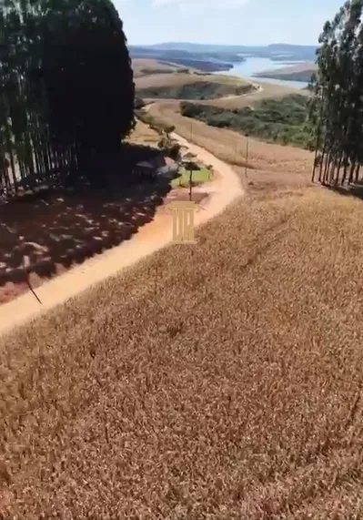 FAZENDA EM ITUTINGA - MG  Itutinga - 