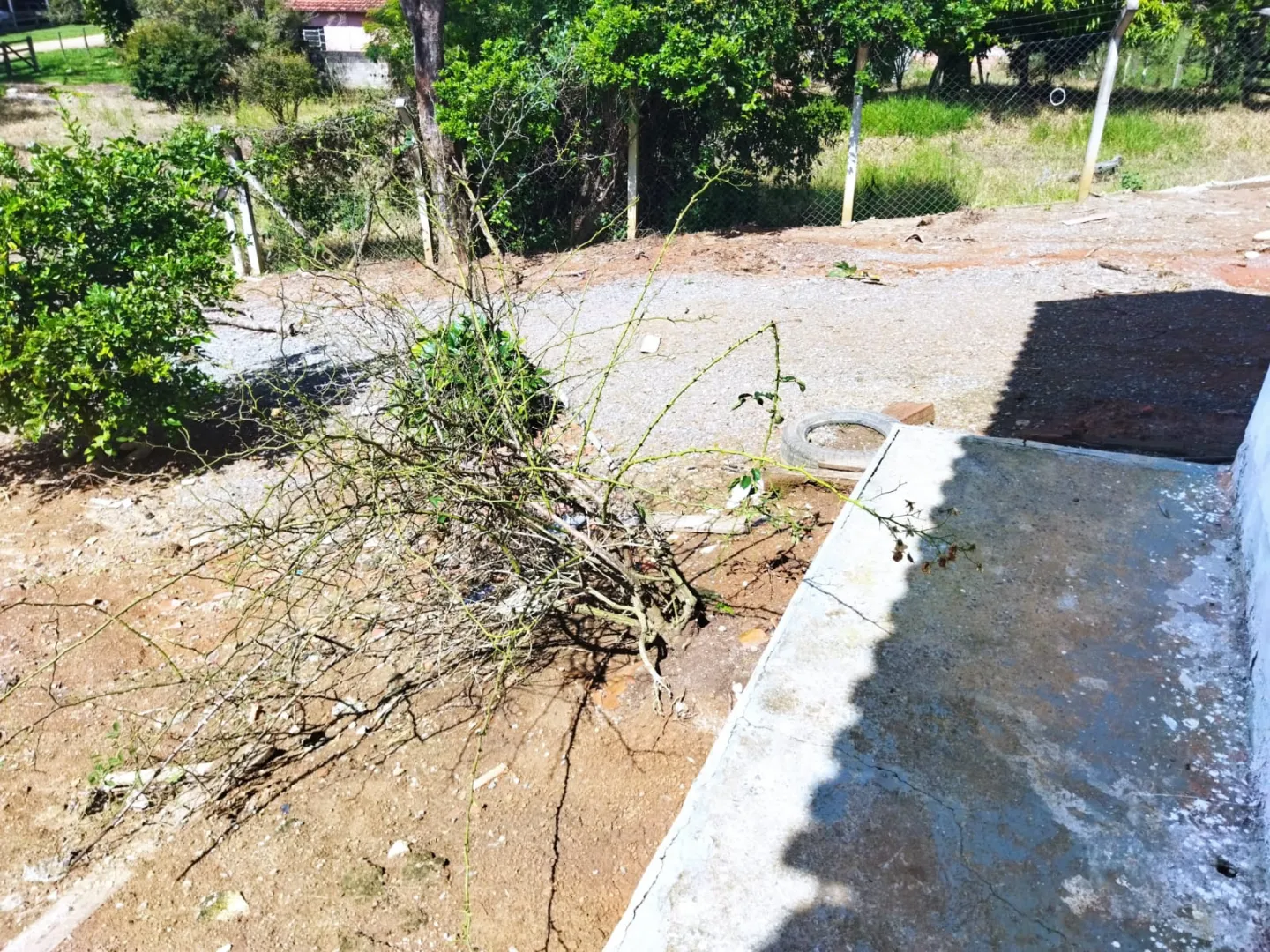 São 1.000 m2 de terreno com casa pequena — foto 8