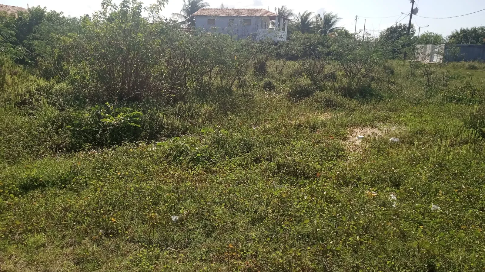 Terreno em Lucena próximo a praia